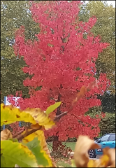 Capture d'écran 2025-10-24 105812.png