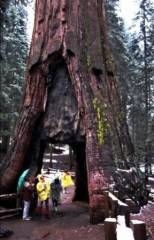 nature,ecologie