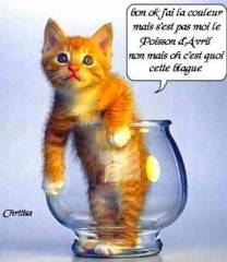 homme,femme