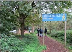 10.JPG