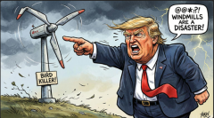 Capture d'écran 2026-01-01 150738.png