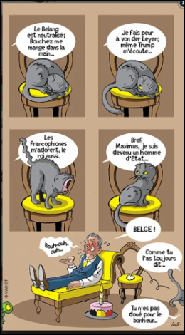 Capture d'écran 2026-01-31 084557.png