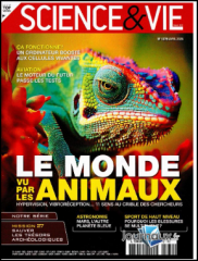 Capture d'écran 2024-03-30 123739.png