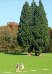nature,ecologie