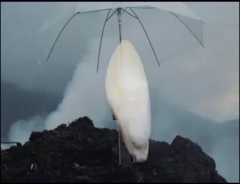 Capture d'écran 2026-02-01 131357.png