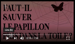 0.PNG