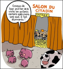 Capture d'écran 2024-02-01 141614.png