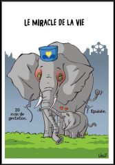 Capture d'écran 2026-02-13 101712.png