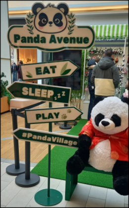 Capture d'écran 2026-02-14 153822.png