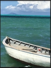 6.JPG