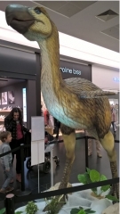 5.JPG