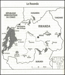 Capture d'écran 2025-11-24 102715.png