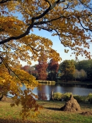 IMG_5785.JPG