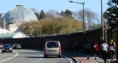 09.JPG