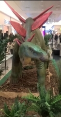 15.JPG