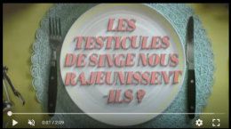 Capture d'écran 2025-08-22 122530.png