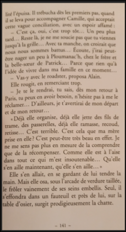 Capture d'écran 2024-04-01 092852.png