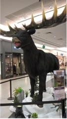 1.JPG
