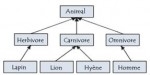 Suffixe variable_java.jpg