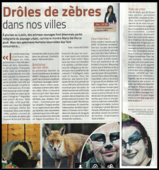 Capture d'écran 2023-12-03 152240.png