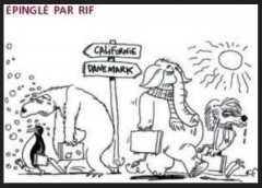 nature,ecologie