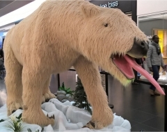 6.JPG