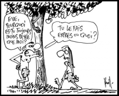 vive la vie !!!