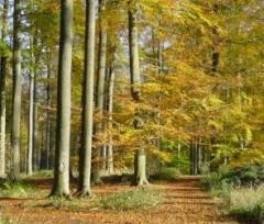 nature,ecologie