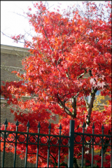 Capture d'écran 2025-11-02 131627.png