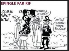 nature,ecologie