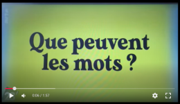 Capture d'écran 2025-10-02 144311.png