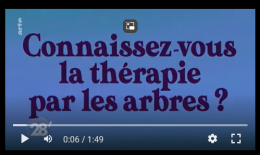 Capture d'écran 2024-03-26 104024.png