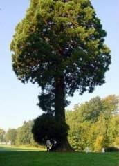 nature,ecologie