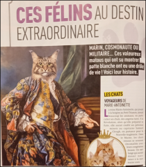 Capture d'écran 2024-03-28 112343.png