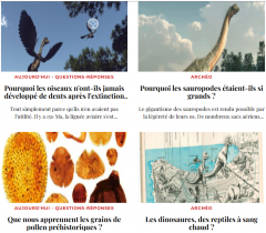 Capture d'écran 2024-01-20 204157.png
