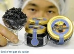 Le soleil rouge un soleil noir Caviar.jpg