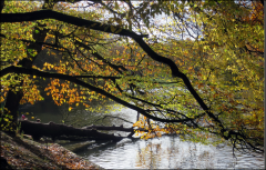 Capture d'écran 2025-11-02 131537.png