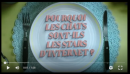 Capture d'écran 2025-08-25 084306.png