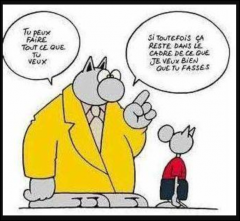 Capture d'écran 2025-11-26 182601.png