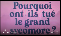 Capture d'écran 2025-05-12 141300.png