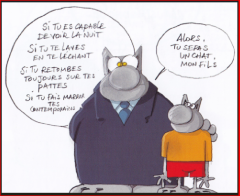 Capture d'écran 2023-07-27 142815.png