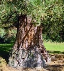 nature,ecologie