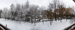 DSCN0262-SNOW.gif