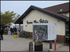 1.JPG