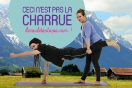 charrue_faux-1024x682.jpg