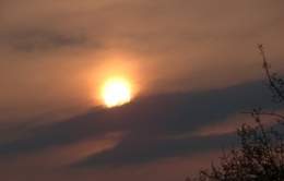 18042010_7698.JPG