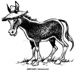 ane chapeau.jpg