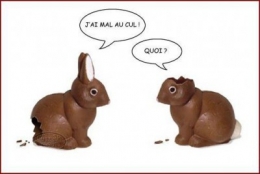 mal au cul lapins.jpg