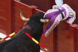 espagnole cornade.jpg