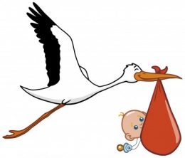 bebe-cigogne.jpg